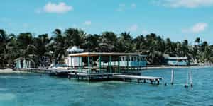 Caye Caulker